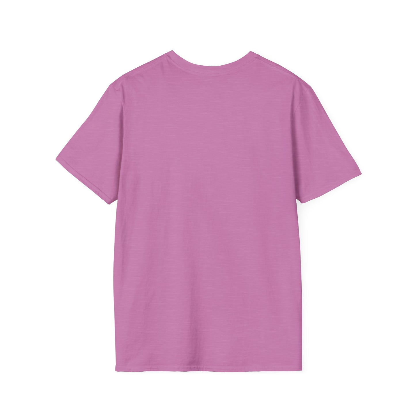 Pray More Worry Less Unisex T-Shirt | Softstyle Casual Tee for Mindfulness & Positivity